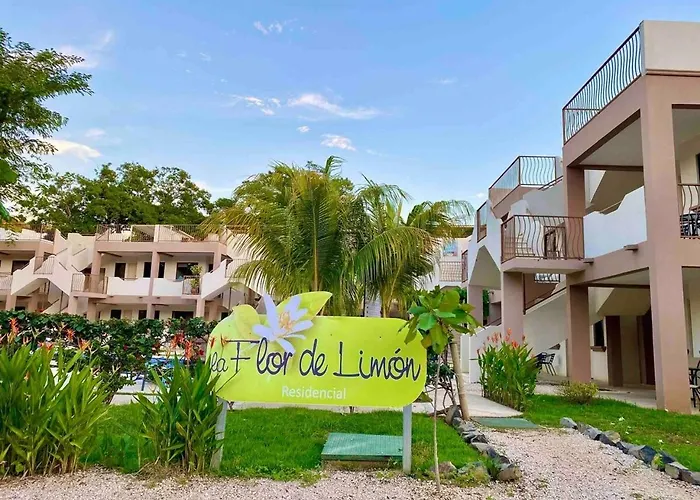 Sunny Tropical And Rooftop Terrace * Coco